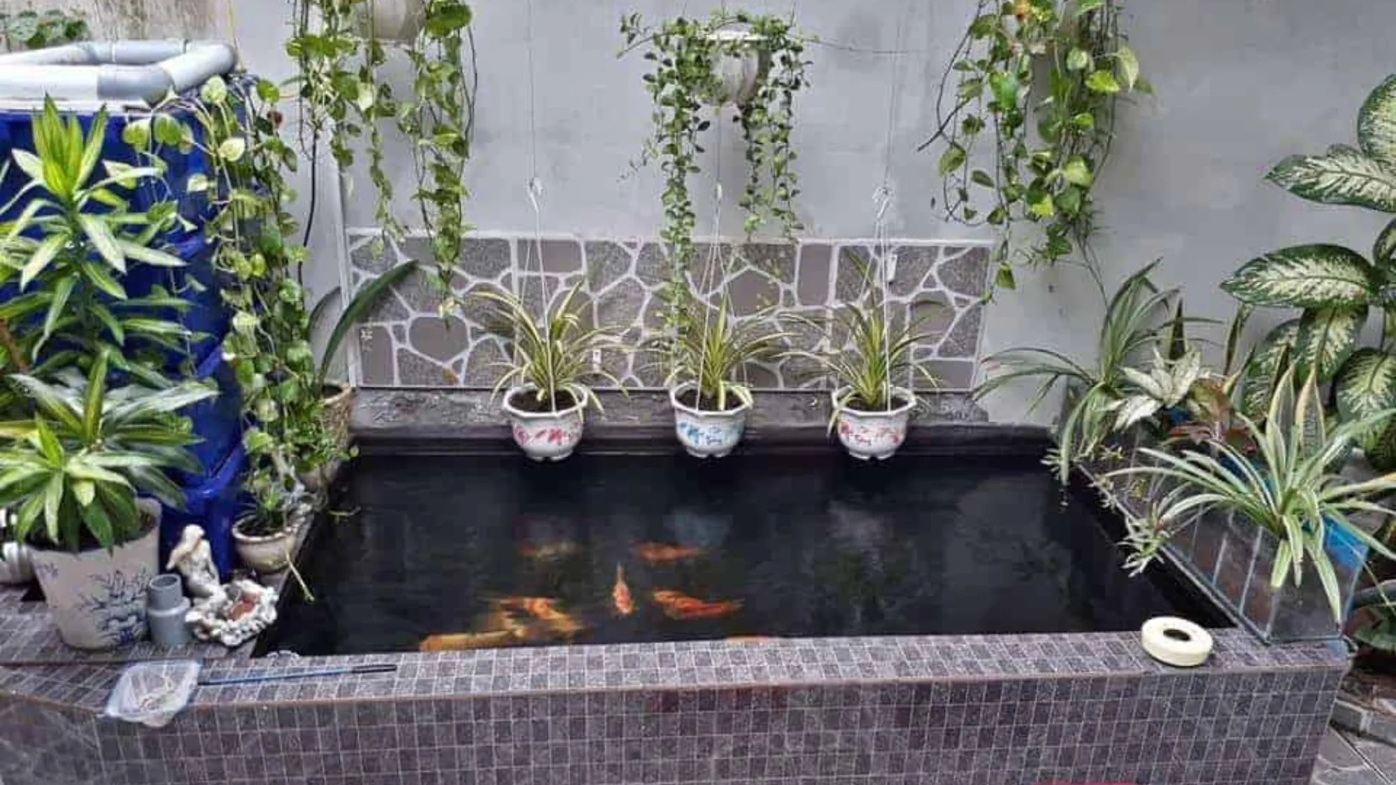 Cách Xử Lý Bể Xi Măng Mới Xây (3)
