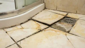 Nguyên Nhân Gây Thấm Nhà Vệ Sinh (1)