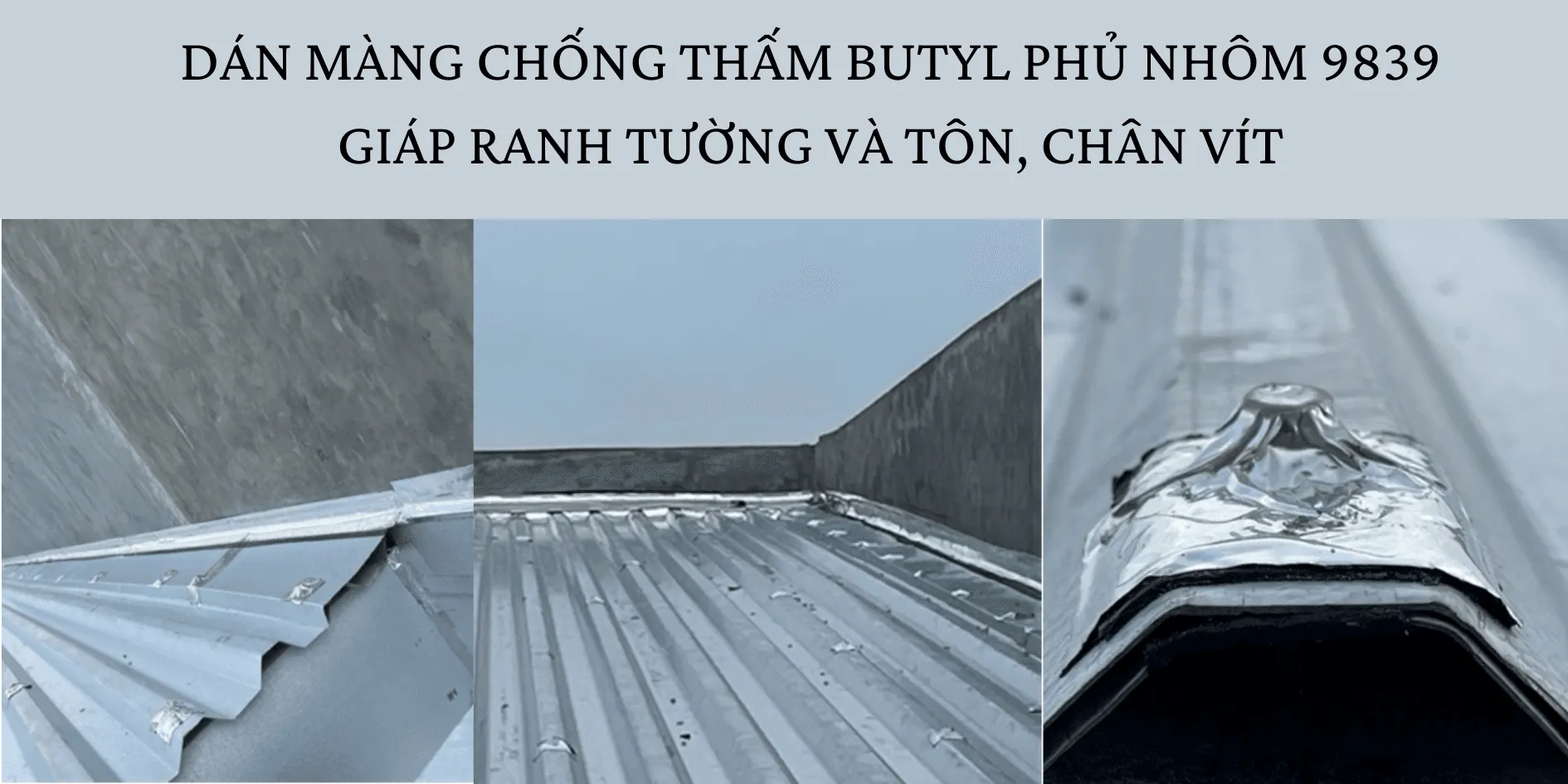 dan-mang-butyl-9839-chong-tham-mai-ton_2