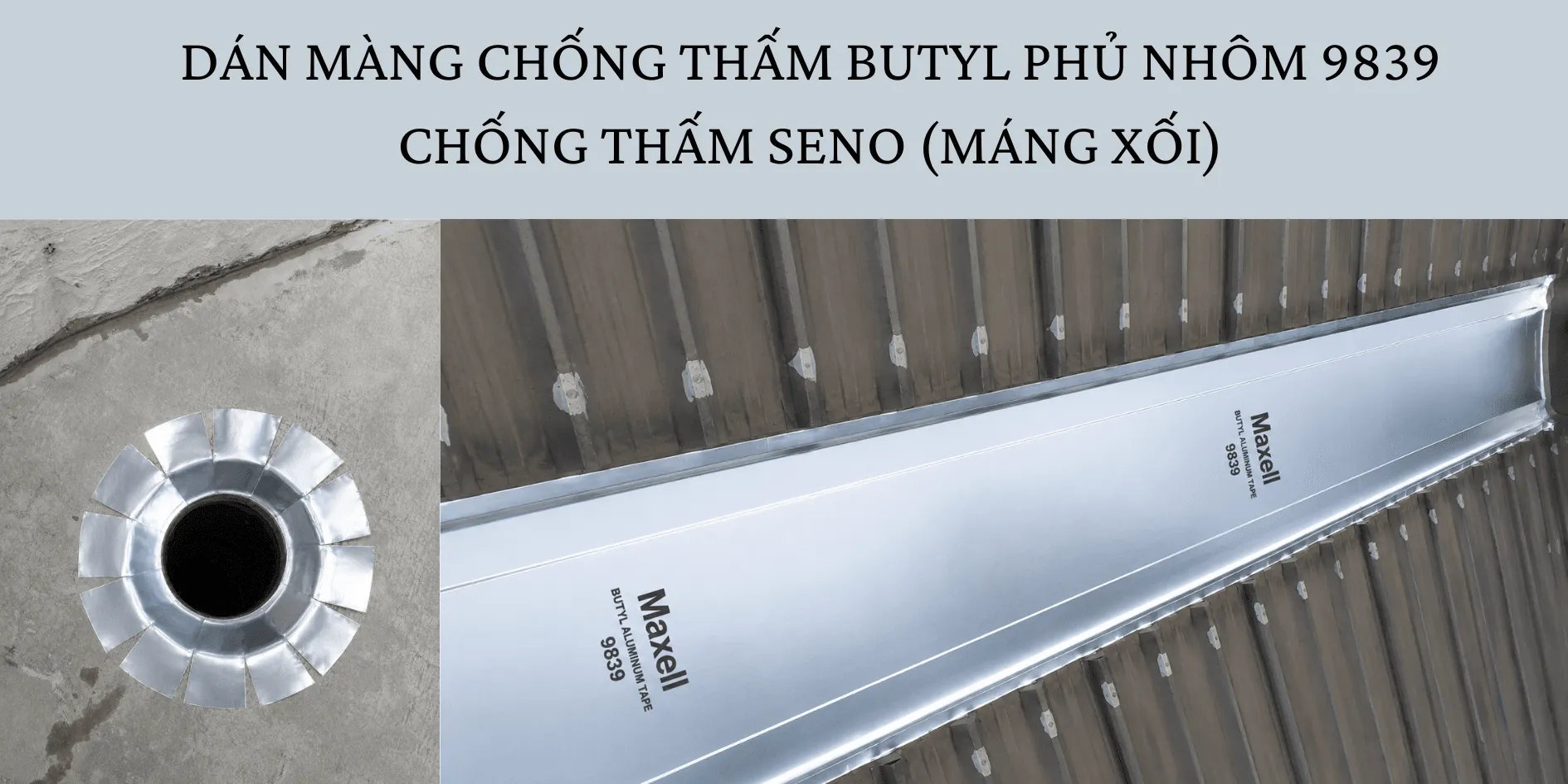 dan-mang-butyl-9839-chong-tham-seno_3